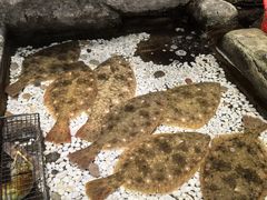 -郑庄脂渣海鲜楼(九水路店)