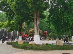 -合肥滨湖国家森林公园