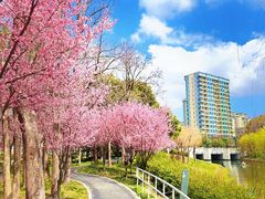 -新江湾城公园