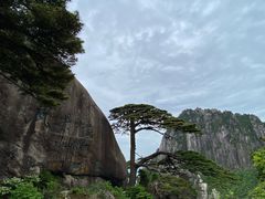 -黄山风景区