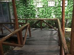 -上海大自然野生昆虫馆(东方明珠·爬宠昆虫探索中心)