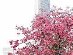 -二沙岛艺术公园