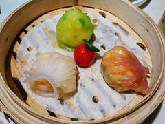 -点都德·毕德寮
