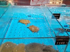 -艳阳天·非遗楚菜(武汉客厅店)