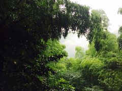 -藏龙百瀑风景区