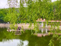 -北岭山森林公园