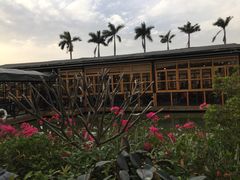 -花溪雨·森林餐厅(石基店)