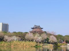 -海珠湖公园