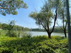 -昆山城市生态森林公园