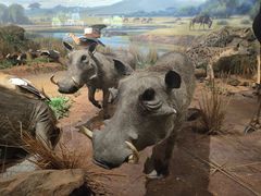 -陕西自然博物馆