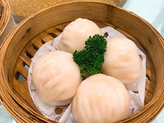 虾饺皇-港澳德兴火锅海鲜酒家(殷皇子店)