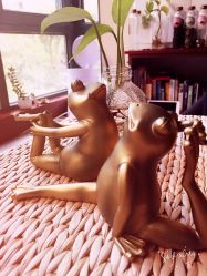 点击看大图 -Union瑜伽健康管理中心