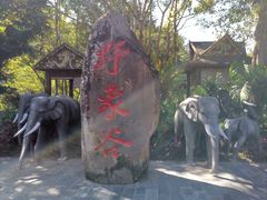 -野象谷景区