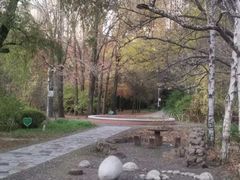 -黑龙江省森林植物园