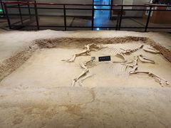 -洛阳周王城天子驾六博物馆