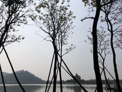 -顺峰山公园