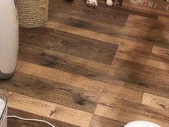-袖虎·猫馆(体育西路店)
