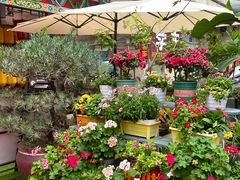 -山水茶艺馆·点心粤菜·30年老字号