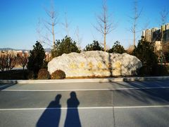 -永定河休闲森林公园