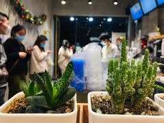 -徐小包(黎阳in巷店)