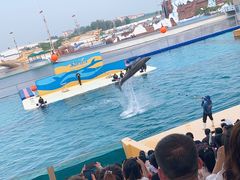 -秦皇岛乐岛海洋王国