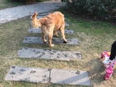 -环城公园-琥珀潭