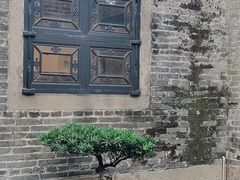 -碧江金楼