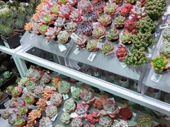 -KKV(深圳宏发大仟里店)