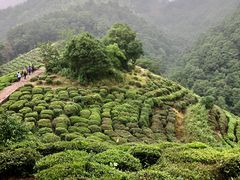 -西湖风景区十里琅珰-五云山