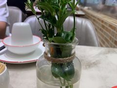 -小海丁