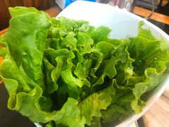 -三里屯土灶炖公鸡地锅鸡(江东店)