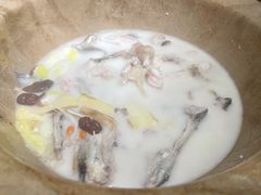 石锅鱼-滇香肴·云南菜蒸汽石锅鱼(云南北路店)