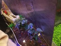 -阿记烧烤(大兴新区店)