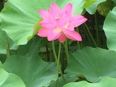 -贵阳市花溪国家城市湿地公园