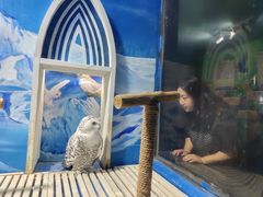 -成都浩海立方海洋公园