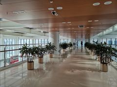 -首都医科大学附属北京同仁医院(南区)