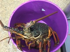 -海上人家The Sea Food Paradise Restaurant & Bar