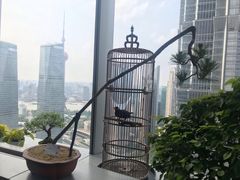 -上海中心大厦