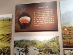 -九江市博物馆