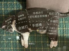 -爱丽丝牛排西餐厅(光谷步行街店)