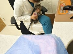 -美联众合动物医院·24h京西诊疗中心