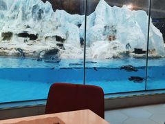 -帝企鹅自助餐厅•儿童岛•真企鹅(长隆企鹅酒店)