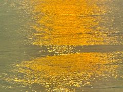 -Cupping Room(Harbour City)