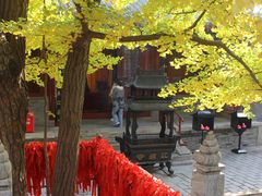 -红螺寺