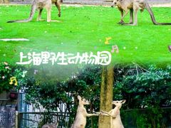 -上海野生动物园