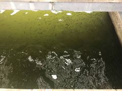 -白塘生态植物园