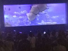 -重庆欢乐海底世界