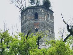 -江心屿景区
