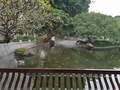 -名树园