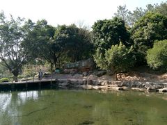 -牛鱼嘴原始生态风景区